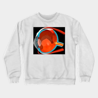 Eye anatomy (C008/7545) Crewneck Sweatshirt